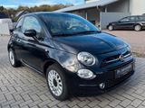 Fiat 500 1.0 Dolcevita Mild Hybrid *Pano*PDC*Carplay* - Fiat 500 aus 2022
