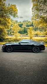 Ford Mustang / Shelby Komplett-Paket  - Ford: Shelby