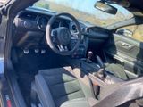 Ford Mustang Shelby GT350  - Ford Mustang: Gt350 Shelby