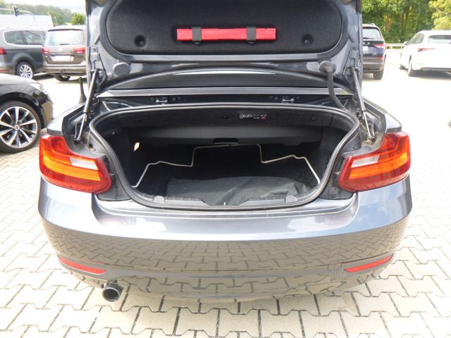 Fahrzeugabbildung BMW 218i Cabrio >NAV/PDC/Sitzheiz/Bluetooth