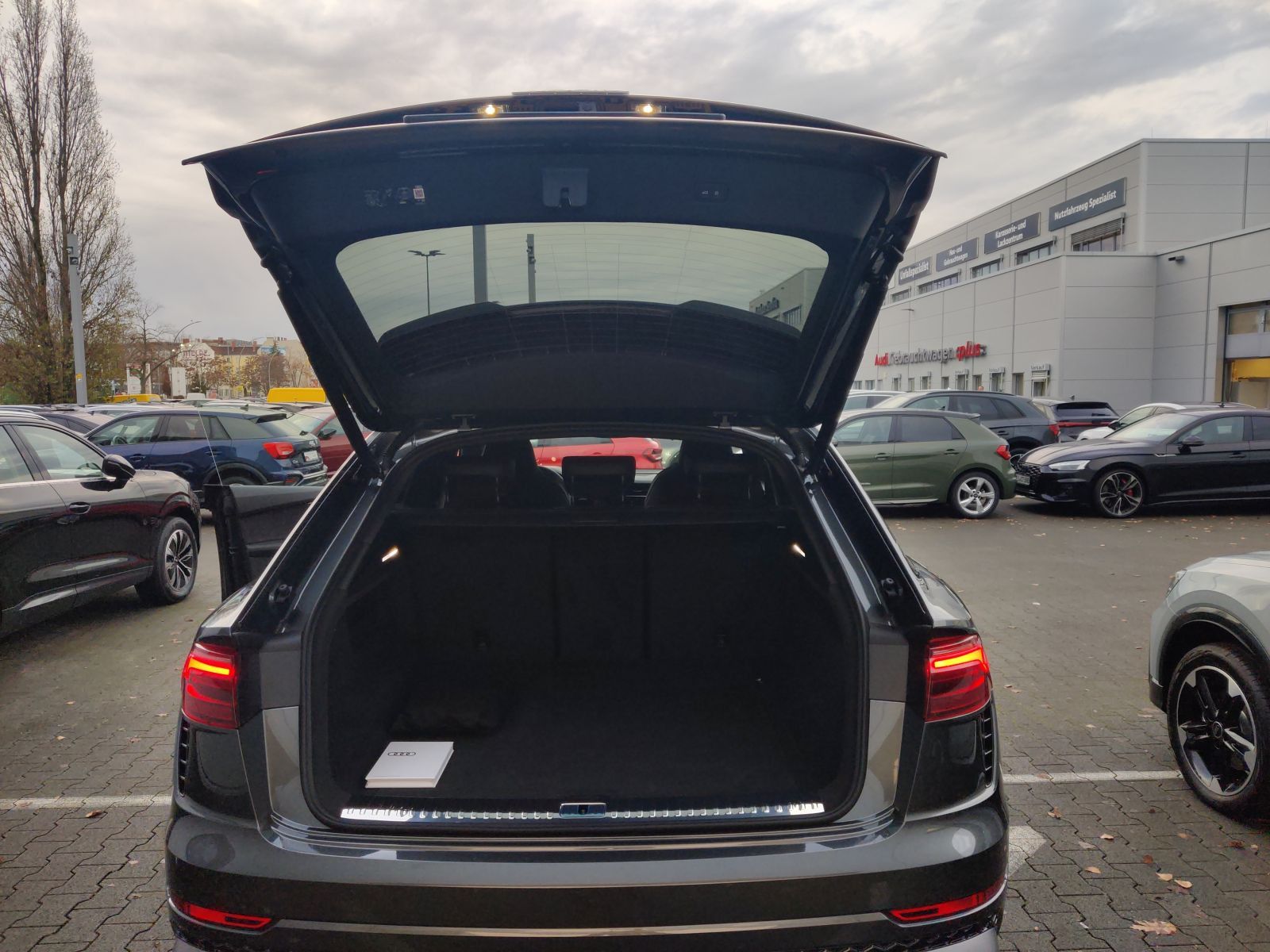 Audi RSQ8 - Bild 18
