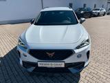 Cupra Formentor 2.0 TDI DSG 4Drive ACC KAMERA NAVI SHZ - Cupra mit Diesel-Antrieb