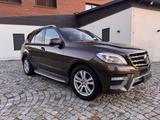 Mercedes-Benz ML 350 BlueTEC 4MATIC AMG LUFT AHK 07/28 - Mercedes-Benz: 3.0