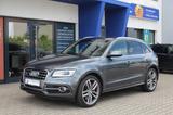 Audi SQ5 3.0 TDI plus quattro - Audi SQ5 in Bielefeld