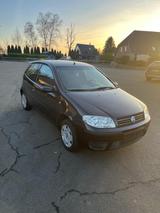 Fiat Punto 1.2 60PS HU Neu 103.000km - gebrauchte Fiat Punto aus dem Jahr 2004