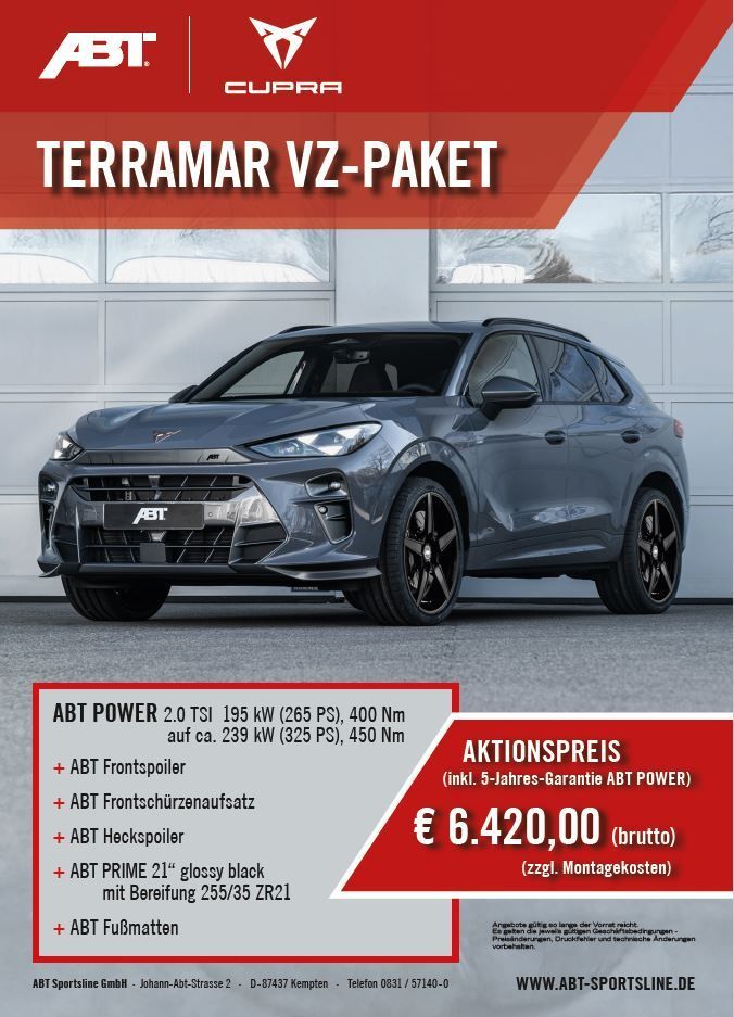 Cupra Terramar - Bild 11