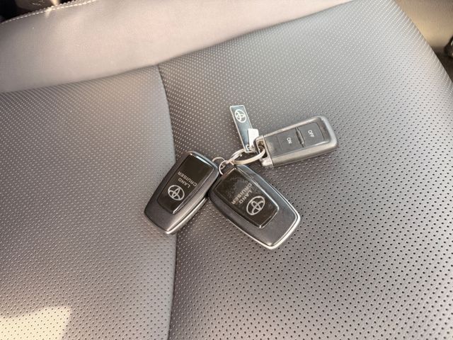 Toyota Land Cruiser Executive Vollausstattung