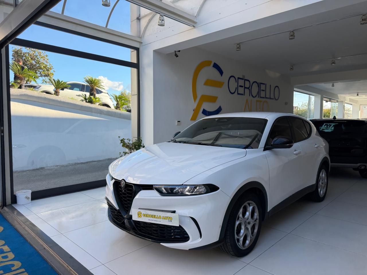Other Alfa Romeo Tonale 1.6 diesel 130 CV TCT6 Sprint  imagem 2