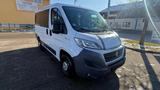 Fiat Zum Verkauf steht eine Fiat Ducato! - gebrauchte Fiat Ducato aus dem Jahr 2016