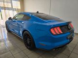 Ford Mustang GT 5.0 Ti-VCT Fastback Modellpflege B&O - Ford B model Gebrauchtwagen