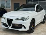 Alfa Romeo Stelvio Quadrifoglio Q4*Harman/Kardon*Carbon* - Alfa Romeo: Quadrifoglio