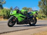 Kawasaki ZX-6R(ZX600R)|TÜV NEU|Scheckheft|Akrapovič|u.w. - KAWASAKI 2010 ZX6R