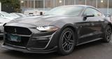Ford Mustang 2.3 SHELBY 55 Navi Leder SHZ LED 10Gang - Ford Mustang in Bonn