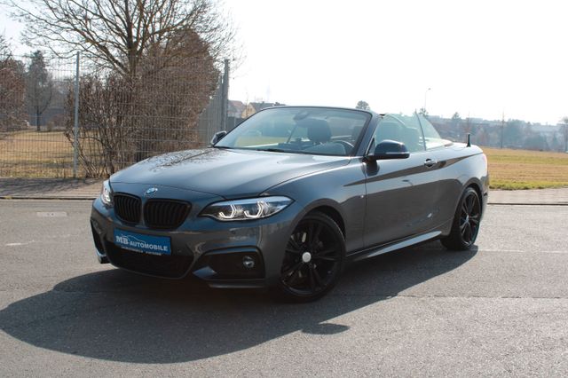 BMW 220i M Sport Paket SportAut. Keyless LED 18"Alu