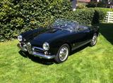 Alfa Romeo Giulietta Spider 1600  95 PS  evtl. Inzahlungn. - Alfa Romeo Giulietta: Ps