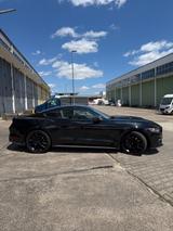 Ford Mustang GT 5.0 Grail H-Pipe - Ford Mustang: 5.0