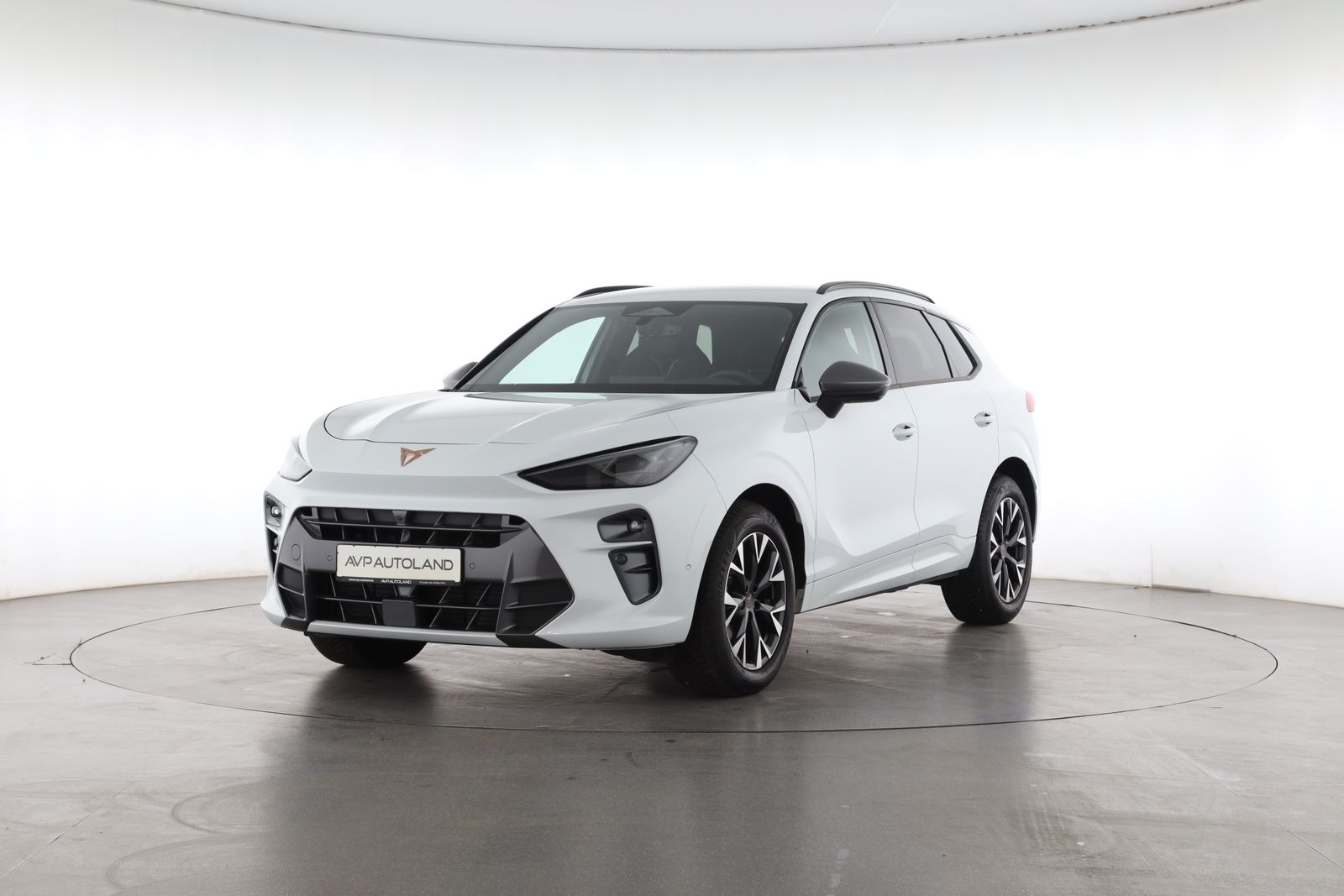 Cupra Terramar - Bild 2