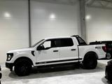 Ford F 150 5,0 V8 4x4 Crewcab Facelift Leder Navi - gebrauchte Ford F 150 aus dem Jahr 2024