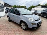 Fiat Panda Hybrid 1.0 GSE 51kw Service Neu 8800 Netto - Fiat Panda in Oberhausen