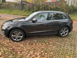 Audi SQ5 3.0 TDI competition tiptronic quattro - - Audi SQ5 in Leverkusen