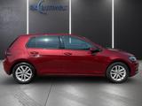 Volkswagen Golf VII Comfortline 2.0 TDI DSG Panorama Navi A - Volkswagen Golf mit Diesel-Antrieb: Rot