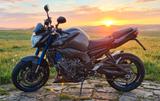 Yamaha FZ8 - ABS - Wenig Km - Naked Bike  - YAMAHA FZ 8N