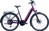Hercules Futura I-8 Zentralrohr - 45cm - Hercules E-Bikes