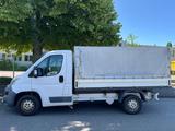Fiat Ducato Pritsche+Plane/150 L2 Pritsche RS: 34 - Fiat Ducato: 15