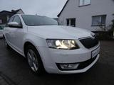 Skoda Octavia Combi Greenline 1,6 TDI Bi-Xenon Keyless - Skoda Octavia Greenline mit Diesel-Antrieb