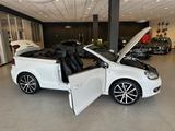Volkswagen Golf VI Cabriolet Lounge|DSG|Kamera|Leder|Euro6 - : V6