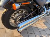 Harley-Davidson SOFTAIL STANDARD - HARLEY-DAVIDSON SOFTAIL STANDARD