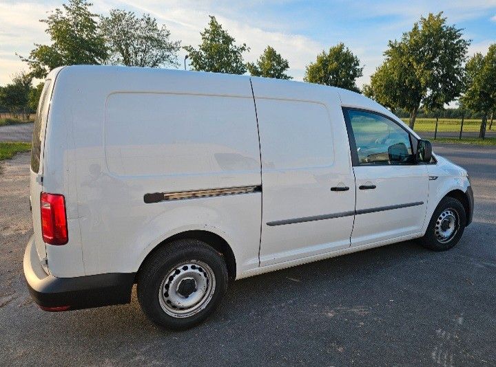 Image of Volkswagen Caddy Maxi