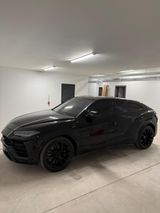 Lamborghini Urus - - Lamborghini in Köln