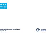 Volkswagen Polo 1.0 TSI Comfortline 5-Gang EPH SHZ GRA - Volkswagen Polo Tageszulassungen Neuwagen mit Benzin-Antrieb
