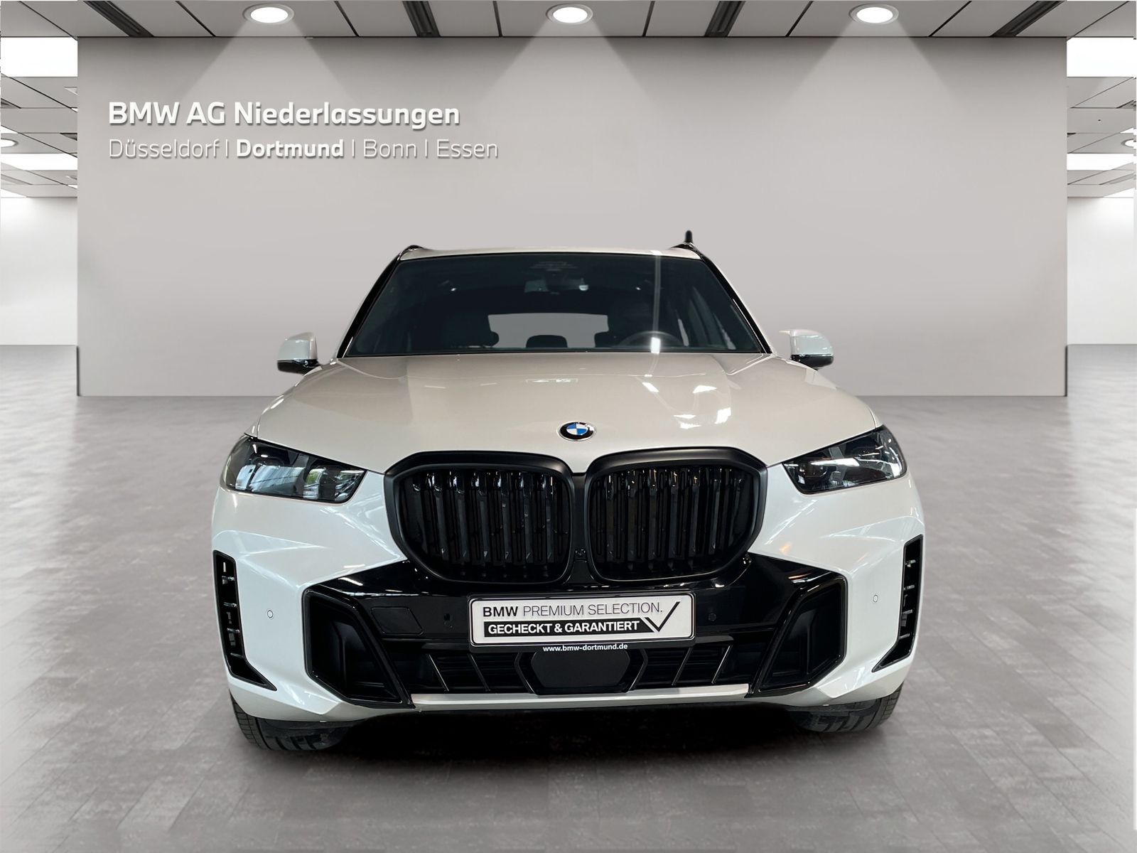 BMW X5 - Bild 8