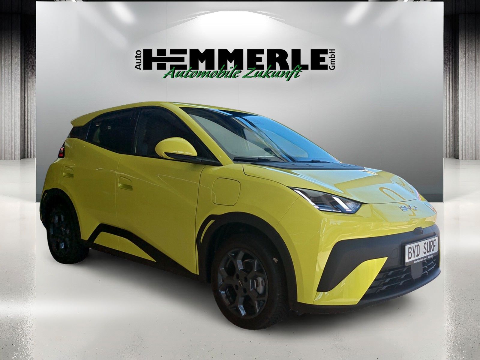 BYD DOLPHIN