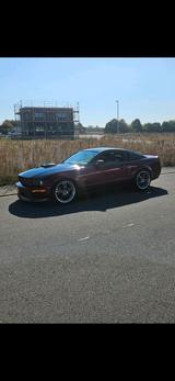 Ford Mustang REGENCY GT 4,6L V8 - 119.800 km - gebrauchte Ford Mustang aus dem Jahr 2008
