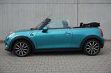 MINI Cooper Cabrio Mtl. ab 99,-  Kamera SHZ LED - MINI Cooper Cabrio Gebrauchtwagen