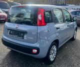 Fiat Panda Base - gebrauchte Fiat Panda aus dem Jahr 2022