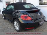 Volkswagen Beetle 1.2TSI Cup Xenon Navi SHZ PDC - Volkswagen Beetle Gebrauchtwagen