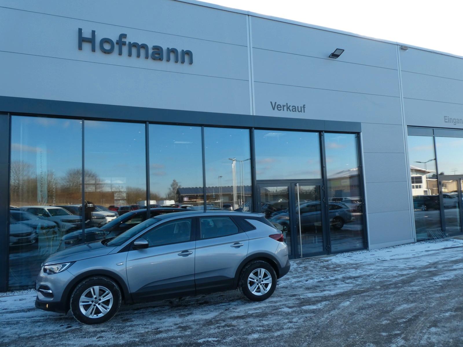 Opel Grandland (X), Business Editi. Kamera, Navi, LED