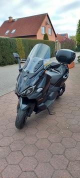 SYM TL 508 - SYM ROLLER