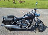 Suzuki VZ 800 Marauder - SUZUKI MARAUDER 800