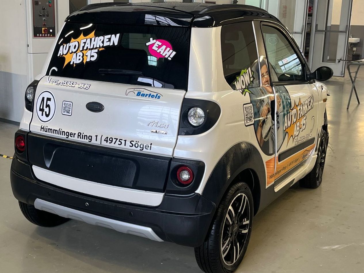 Fahrzeugabbildung Microcar M.Go6 DCI Unfallschaden