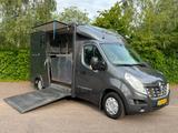 Renault Master  Pferdewagen Horsetruck Hengstversion - gebrauchte Renault Van