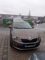 Skoda Oktavia - Skoda: Oktavia