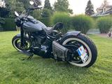 Harley-Davidson FLSTN SOFTAIL DELUXE - HARLEY-DAVIDSON FLSTN SOFTAIL DELUXE
