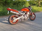 Honda Hornet CB 600 F PC34 - HONDA HORNET 600 PC34