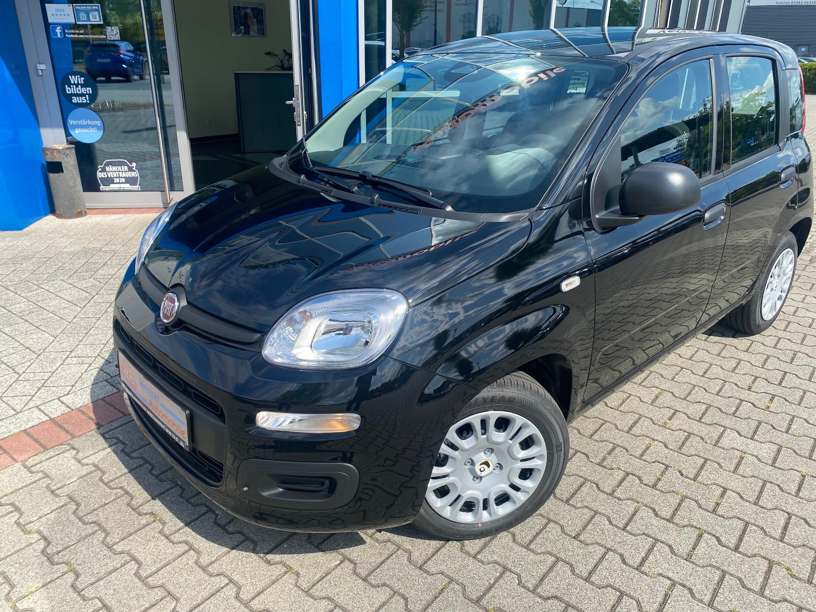 Fiat Pandina 1.0 GSE Hybrid ICON PDC Klima Temp DAB