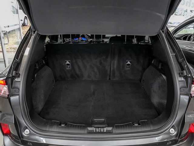 Ford Kuga 2.0 Titanium X Fernlicht-Assistent Kamera